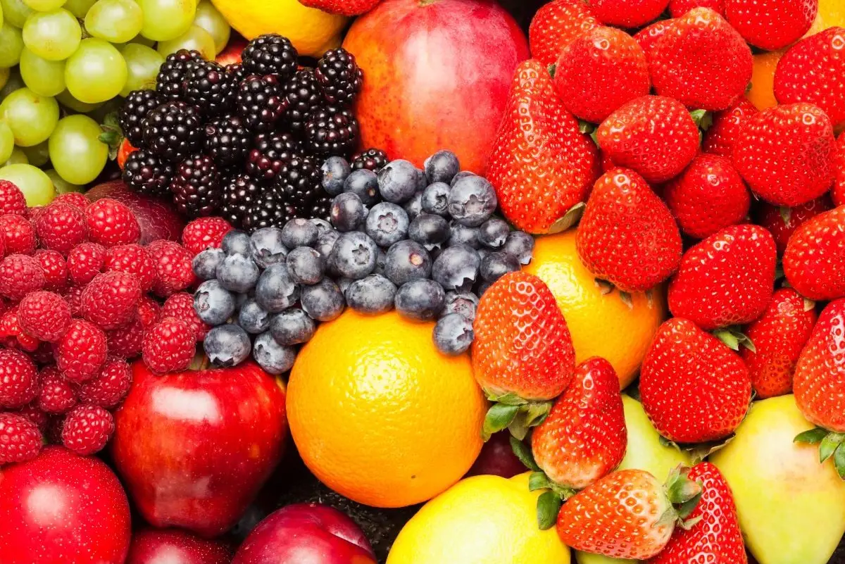 palm oil peru 2024 freshfruitbunch 1