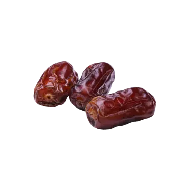 pngtree dates fruit vector png image_6662572 1 1
